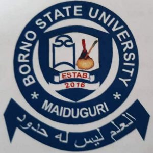 Borno State University Post UTME Form 